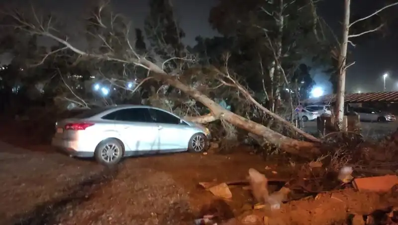 Hatay’da Şiddetli Fırtına: Tekneler Alabora Oldu, Ağaçlar Devrildi!
