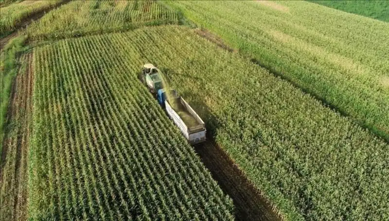 2025 Mazot ve Gübre Desteği Ödemeleri: Son Durum ve Beklentiler