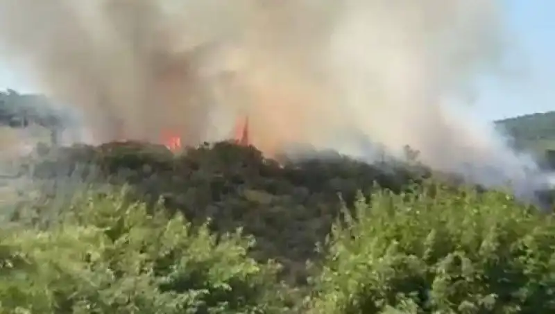 İstanbul'da Orman Yangını: Vatandaşlar Güvenli Bölgelere Tahliye Edildi
