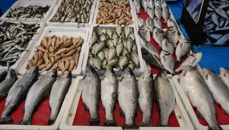 Avcılar İçin Yenilenme: Yasaklar Tezgahları Nasıl Etkiledi?