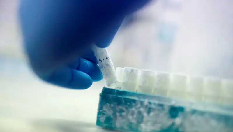 Tıbbi Felaket: 85 Sperm Donörü ile Binlerce Çocuğa Baba Olundu