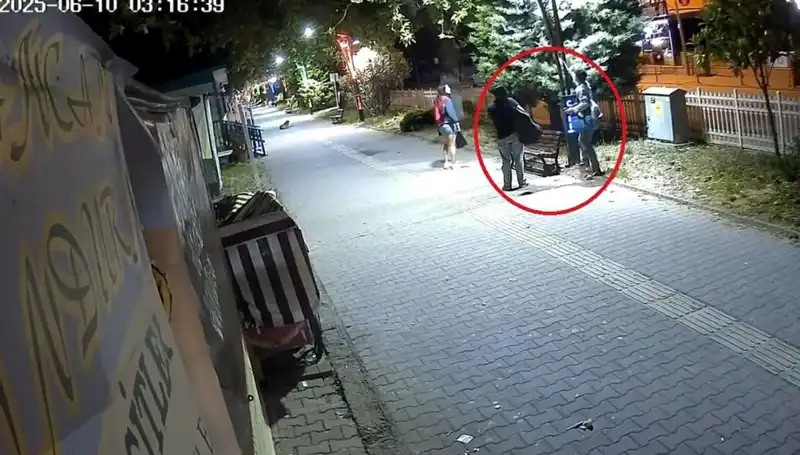 Aydınlatma Direklerindeki LED Işıkları Sökerek Büyük Zarara Neden Oldu