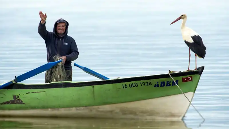 Yaren Leylek Geldi mi? Merak Ettiğiniz Her Şey Burada!