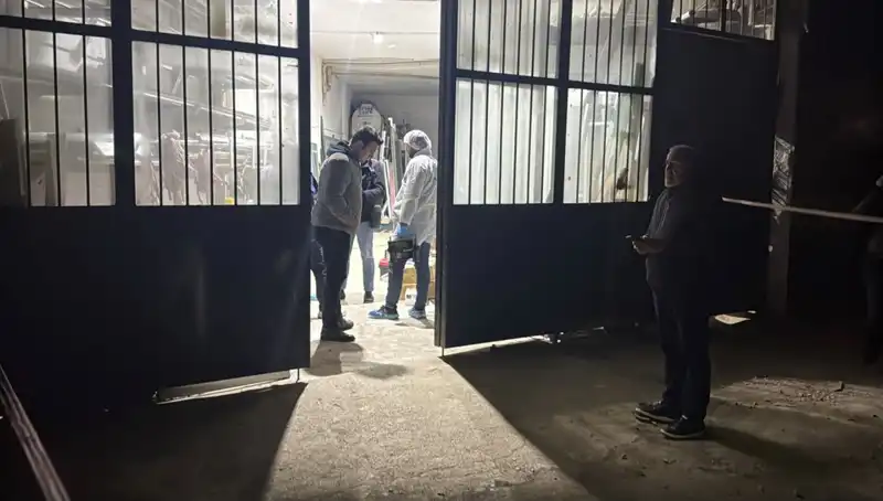 İş Yerinde Gerilim Tırmanıyor: Korkunç Cinayet Sırları Ortaya Çıktı