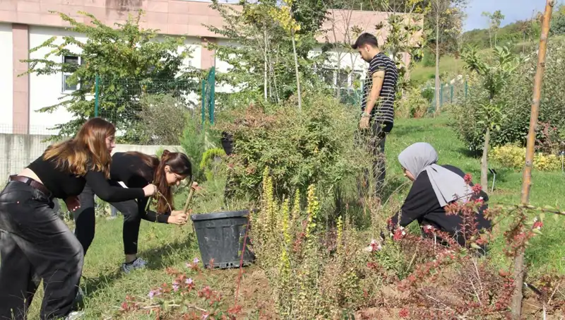 Düzce’nin Hayali Gerçek Oldu: Kültürel Mirası Dünya Çapında Tanıtılıyor