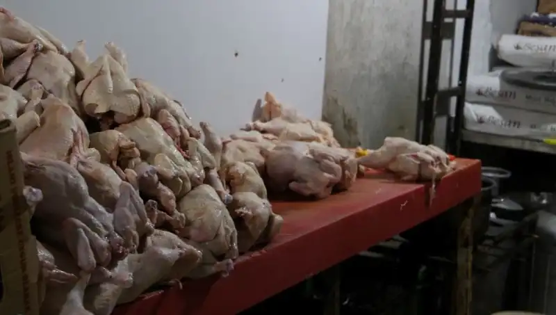 Döner İmalathanesinde Şok Eden Görüntüler: Mide Bulandıran Gerçekler Ortaya Çıktı
