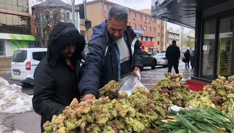Kendiliğinden Yetişen Bu Bitki, Kanserle Savaşta Yeni Umut Sunuyor!