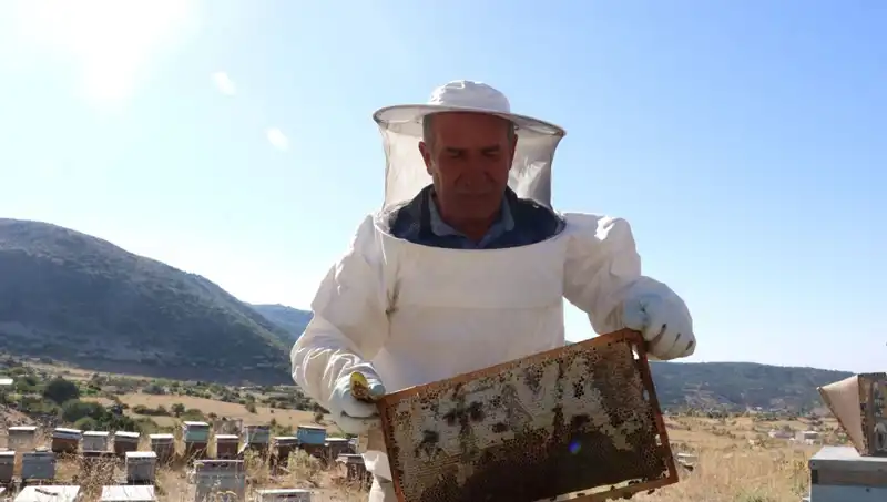 25 Yıl Sonra Hobi Haline Getirdiği İşle 2 Ton Ürün Üretti!