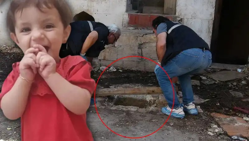 Cesedi Kuyuda Bulunan Aric'in Gizemli Ölümü: Sır Perdesi Aralanıyor