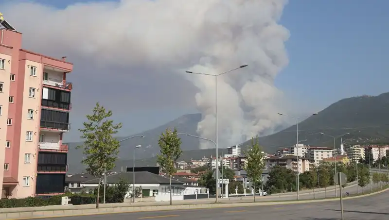 Denizli’deki Orman Yangını: Yangının Ardındaki Şüpheli Gözaltında