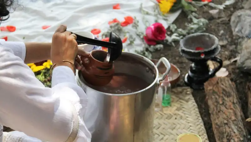 Ayahuasca'ya Dair Bilmeniz Gereken Her Şey: Yasak mı, Faydaları Neler?