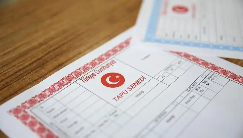 Hisseli Tapu Tuzağı: 100 Milyonluk Dolandırıcılık Skandalı Başına Çökmüş Olabilir