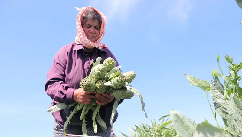 Tarladan Sofralara: 50 TL'lik Market Fiyatları Alışverişleri Nasıl Etkiliyor?