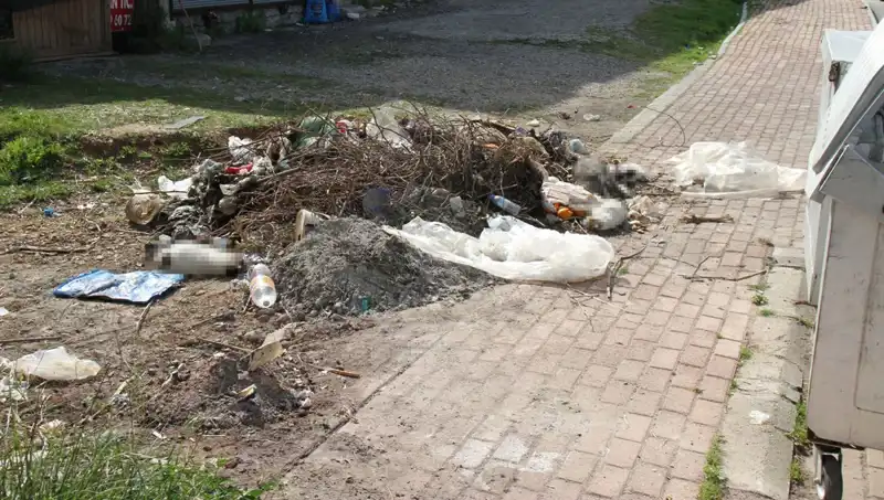 Antalya’da Korkunç Olay: 10 Kedi Ölü Bulundu!